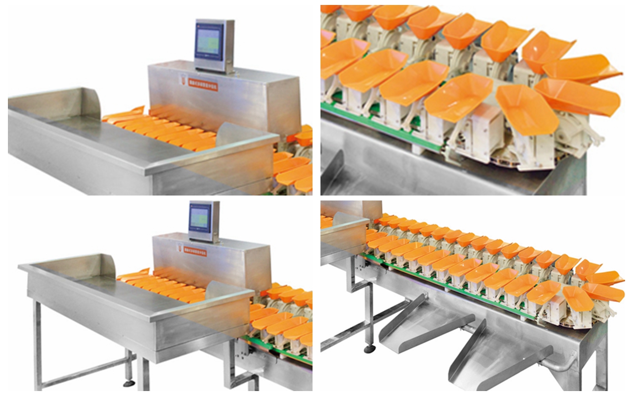 automatic circular multi-weight sorter machine